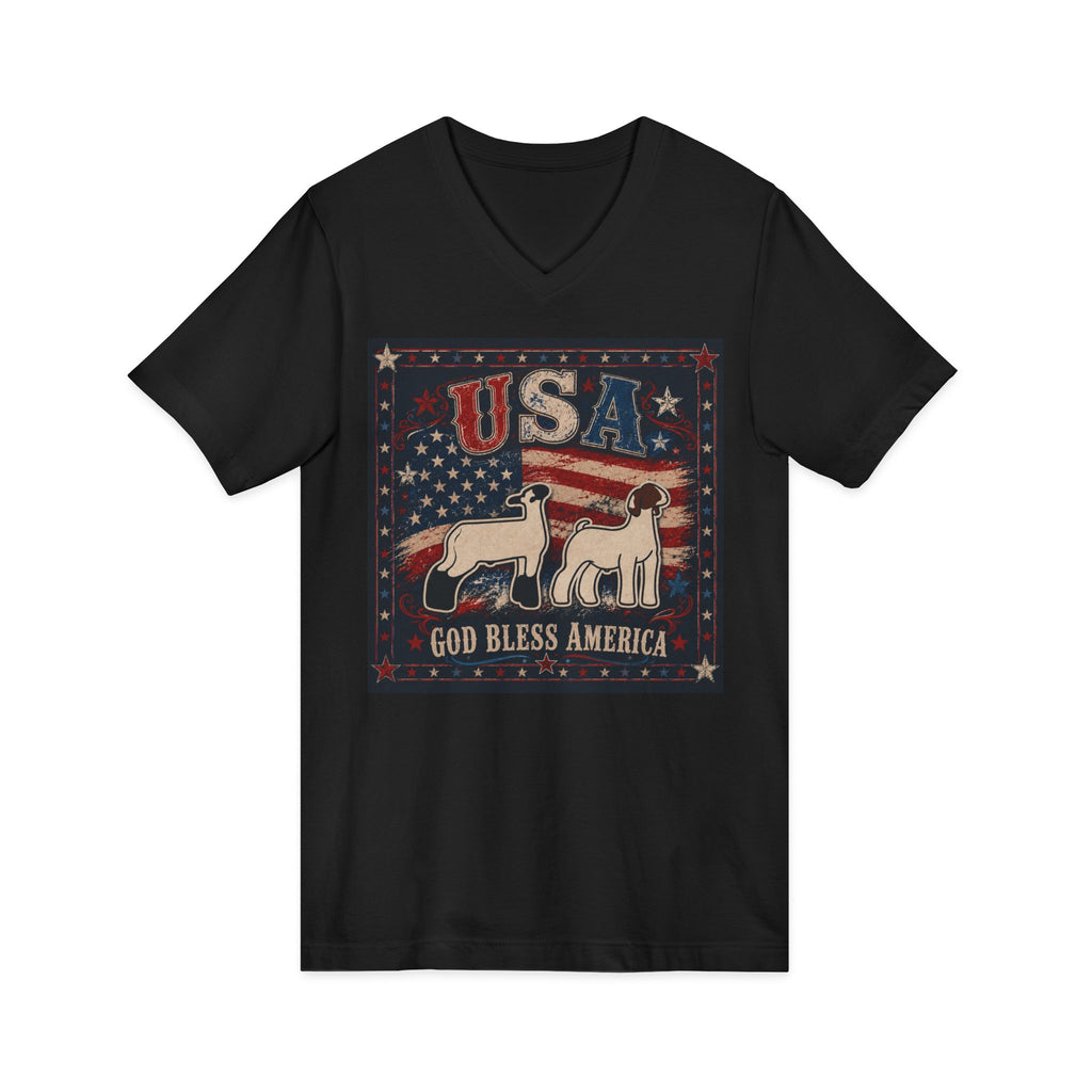 Unisex Jersey Short Sleeve V-Neck Tee