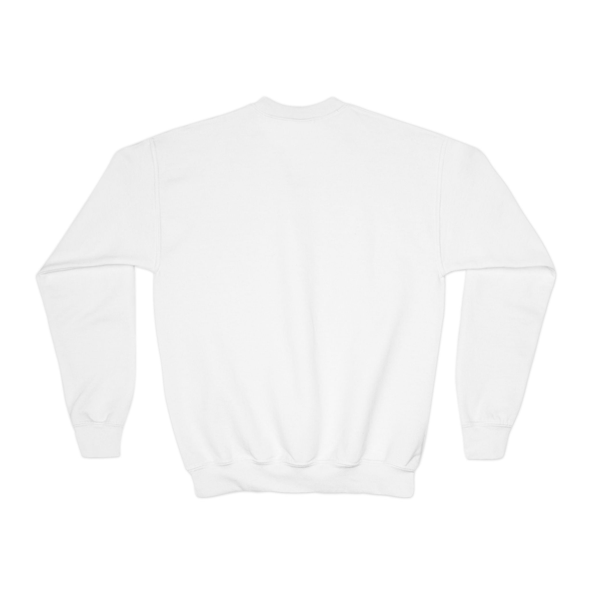 Vintage Rodeo “Round Pen” Youth Crewneck Sweatshirt