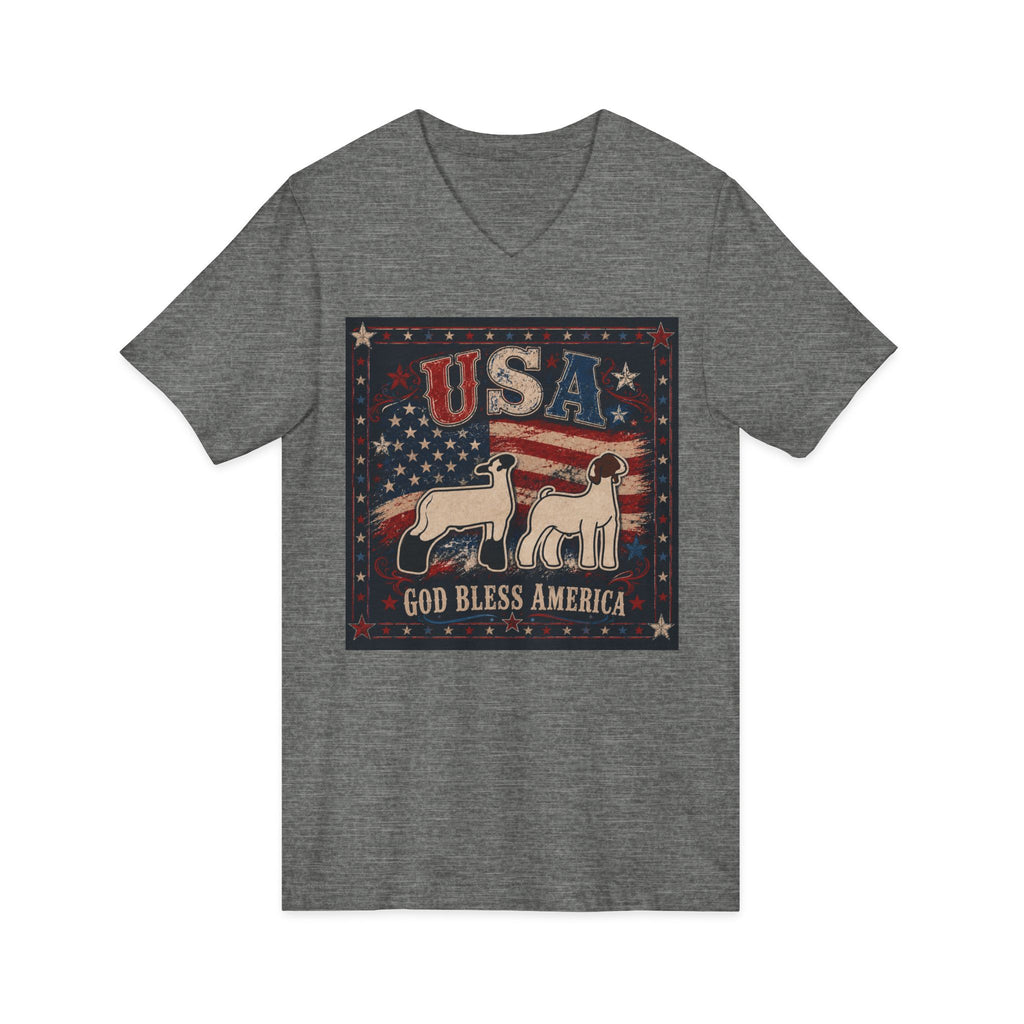 Unisex Jersey Short Sleeve V-Neck Tee