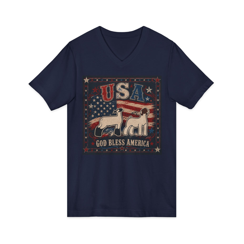 Unisex Jersey Short Sleeve V-Neck Tee