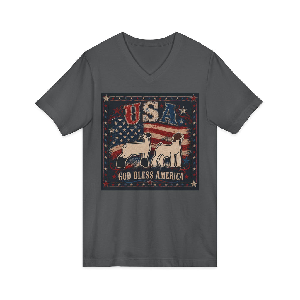 Unisex Jersey Short Sleeve V-Neck Tee