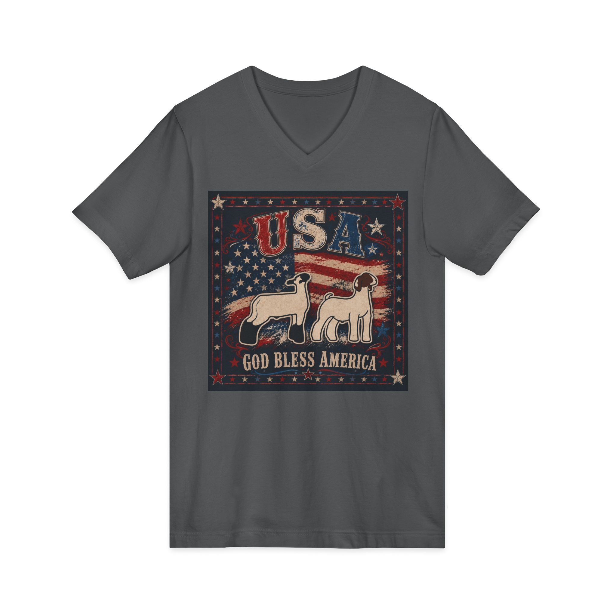 Unisex Jersey Short Sleeve V-Neck Tee