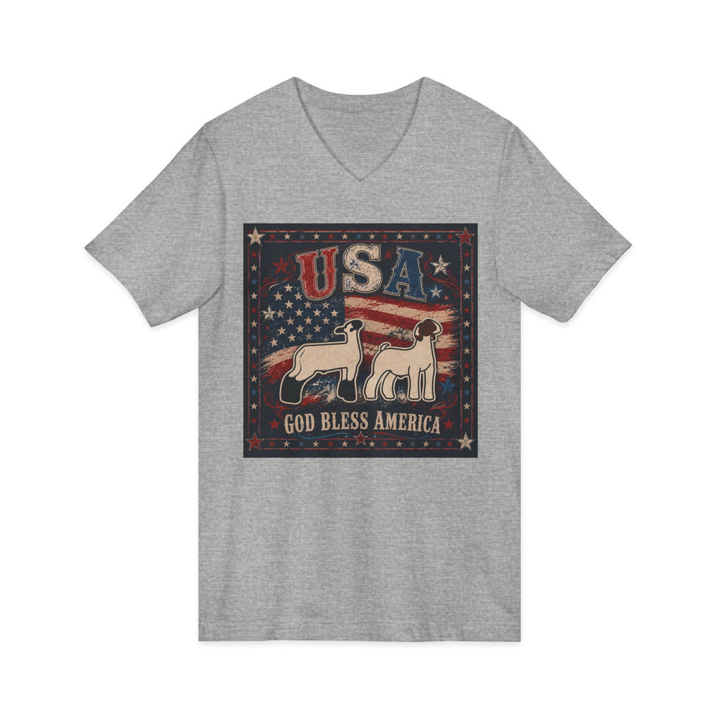 Unisex Jersey Short Sleeve V-Neck Tee