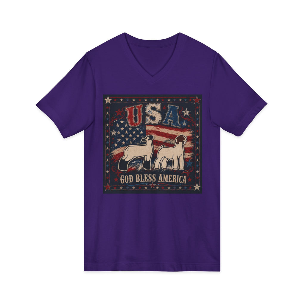 Unisex Jersey Short Sleeve V-Neck Tee