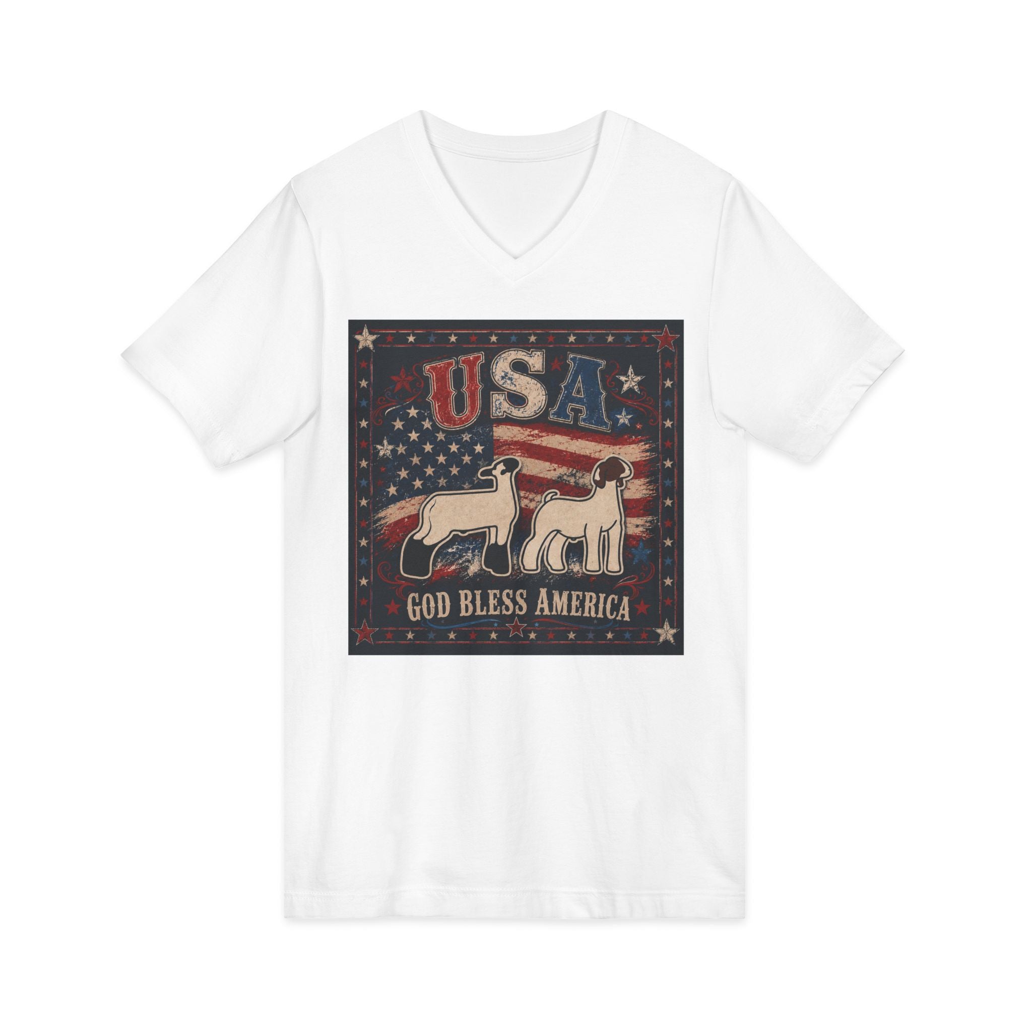 Unisex Jersey Short Sleeve V-Neck Tee